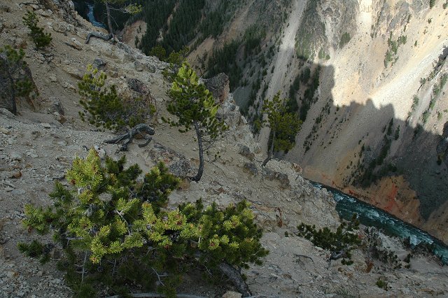 Grand Canyon of Yellowstone National Park, Wyoming