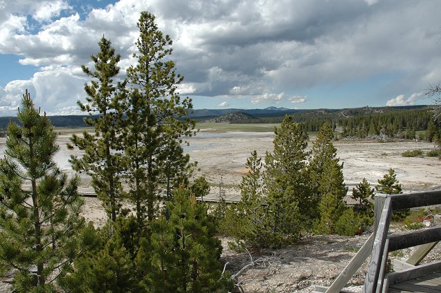 View of Geyser field from Fountain Paint Pots area, Yellowstone National Park, Wyoming