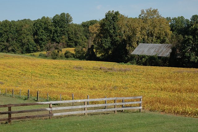 Gwynn Farm, Upper Marlboro, Maryland
